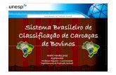 Departamento de Produção Animal Sistema Brasileiro de ...10]Sist_Brasil... · Sc – Sub-coco e asnvexas Re – Retilíneas Sr – Sub-retilíneas Co – Côncavas Prof. Dr. André