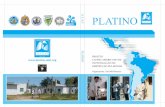 PLATINOplatino-alat.org/docs/livro_platino_pt.pdf · Danton Duro (Brasil) Companhia ndd Medical Technologies (espirômetro Easy-OneTM) Georg Harnoncourt (Switzerland) ... Capítulo