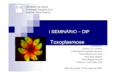 I SEMINÁRIO – DIP Tema: Toxoplasmose · Introdução Toxoplasmose é uma zoonose, causada pelo protozoário Toxoplasma gondii, tem distribuição mundial e acomete animais de sangue