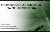 PROTOCOLOS ANESTÉSICOS EM NEUROCIRURGIA ANESTÉSICOS EM NEUROCIRURGIA Carlos Xavier Anestesia Veterinária e-mail: carlosxfb@globo.com