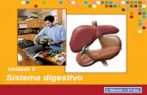 Unidade 5 Sistema digestivo - … doenças do sistema digestivo resultam frequentemente de hábitos de vida pouco saudáveis. Úlceras Cárie dentária Cancro do cólon Planeta Terra