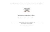 Monitorização de SLA IP - paginas.fe.up.ptpaginas.fe.up.pt/~ee02187/tese/ficheiros/tese.pdf · Faculdade de Engenharia da Universidade do Porto Monitorização de SLA IP Paulo Jorge