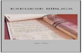 EXEGESE BÍBLICA - Igreja Batista Nacional em Vicente ... · primazia da exegese, na enciclopédia teológica, não é sem motivo, pois em se tratando propriamente de teologia ...