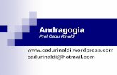 ANDRAGOGIA - cadurinaldi.files.wordpress.com · participação e interação(aprendizagem pela descoberta). Ao invés de explicar o professor pergunta. No desejo de encontrar a resposta,