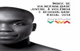 Indice de vulnerabilidade juvenil à violência e ...unesdoc.unesco.org/images/0023/002329/232972POR.pdf · Jogando luz na invisibilidade ... a violência que atinge a juventude brasileira.