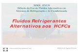 Fluidos Refrigerantes Alternativos aos HCFCs - mma.gov.br · INSTITUTO MAUÁ DE TECNOLOGIA - IMT Roberto de Aguiar Peixoto Fluidos Refrigerantes Alternativos aos HCFCs MMA PNUD …