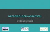 MICROBIOLOGIA AMBIENTAL - docs.ufpr.brmicrogeral/2014MicroambientalAULAS.pdf · Microbiologia Biotecnologia diagnóstica. Micro-organismos e o ambiente