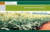Cultura do Sorgo - Emater-MG, a melhor Empresa do Brasil …€¦ ·  · 2012-08-30ta do solo, para protegê-lo dos raios solares, facilitando a infiltração da água e outros benefícios.
