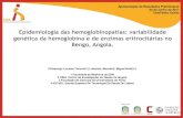 Epidemiologia das hemoglobinopatias: variabilidade ... · • Em 2010 a OMS, redigiu um relatório sobre a anemia falciforme que forneceu objectivos específicos e metas para os países