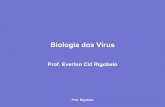 Biologia dos Vírus - UNESP: Câmpus de Jaboticabal · Vírus Envelopados •Presença de Membrana circundando o nucleocapsídeo •Maioria afeta animais - influenza •Minoria infecta