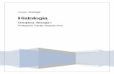 Disciplina: Biologia I - Profª IVAnéaprofiva.dominiotemporario.com/doc/Histologia_teorica.pdf · Página 2 de 14 Professora Ivanéa _ Biologia I Conteúdo O que é Histologia? 2