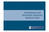 CIRURGIAS DO SISTEMA GENITAL MASCULINO · CIRURGIAS DO SISTEMA GENITAL MASCULINO Prof. Dr. João Moreira da Costa Neto Departamento de Patologia e Clínicas –UFBA E-mail: jmcn@ufba.br