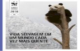 CLIMA & ENERGIA 2018 · METODOLOGIA 14 RESULTADOS 19 ÁREAS PRIORITÁRIAS: DESTAQUES AMAZÔNIA E AS GUIANAS 20 ... e restaurar corredores biológicos que apoiam a dispersão e abrigar