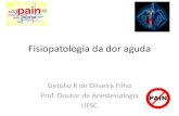 Fisiopatologia da dor aguda - Medicina/  da dor aguda Getlio R de Oliveira Filho Prof. Doutor de Anestesiologia UFSC