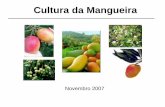 Cultura da Mangueira - Almanaque do Campo da mangueira.pdf · Análise de um fruto de manga (quantidades por 100g – Cultivar Haden) Nutriente Quantidade Água 84,12 g Energia 234