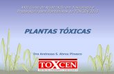 PLANTAS TÓXICAS - toxcen.es.gov.br · XXII Curso de Atualização em Toxicologia e Preparatório para Plantonistas do TOXCEN/2015 PLANTAS TÓXICAS Dra Andressa S. Abreu Pinasco