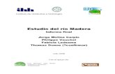 Estudio del río Madera - mma.gov.br EFECTO DE REMANSO DE LOS EMBALSES ... 4.19: Curvas granulométricas del lecho en Porto Velho, Taruma y Camaleao . Capítulo 1 INTRODUCCIÓN