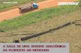 A SAGA DE UMA ARVORE AMAZONICA: DA FLORESTA … · a saga de uma arvore amazonica: da floresta ao mercado introducao, ~ ^, impresso em papel reciclado. introducao~ rota da madeira