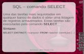 SQL – comando SELECT · exercícios. Paulo Damico - MDK Informática Ltda. SQL comando UPDATE ... SQL comando DELETE Dentre as atividades de manutenção de banco de dados existe