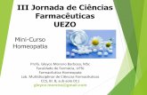 III Jornada de Ciências Farmacêuticas UEZO Jornada de Farmácia do Cariri _ FJN_arquivos... · Profa. Gleyce Moreno Barbosa, MSc Faculdade de Farmácia, UFRJ Farmacêutica Homeopata