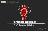 Formação Reticular - Dr. Gerardo Cristinogerardocristino.com.br/novosite/aulas/Neuroanatomia/...Controle sobre o sistema límbico e hipotálamo 5. Controle neuroendócrino Hipotálamo-Hipófise