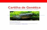 Uma introdução à genética dos guppies para o iniciantepeixebom.com.br/PUBLICACOES/CartilhadeGenetica.pdf · Cartilha | 2 Esta cartilha é dirigida ao iniciante ... genética como