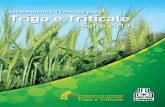 1 Capa Trigo - iapar.br · 9 788588 184442 ISBN 858818444-3 Informações Técnicas para Trigo e Triticale – Safra 2013 VI Reunião da Comissão Brasileira de Pesquisa de