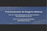 Processamento de Imagens Médicas - web.inf.ufpr.brweb.inf.ufpr.br/lferrari/wp-content/uploads/sites/9/2017/06/... · Prof. Dr. Lucas Ferrari de Oliveira ... computer-aided diagnosis