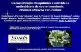 Caracterização fitoquímica e actividade antioxidante de …esa.ipb.pt/imagens/eventos/20anos/Sousa_e_valentao1.… ·  · 2009-10-16Cromatograma dos compostos fenólicos das sementes