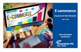E-commerce - Fecomércio MG€¦ · 71,1% das empresas avaliadas possuem até nove pessoas em seu quadro de funcionários, o que ... 33,8% das empresas já possuem um site …