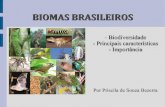 BIOMAS BRASILEIROS - … · BIOMAS BRASILEIROS-BiodiversidadeBiodiversidade ... milhões de Km²: Brasil, Peru, Colômbia, Venezuela, Equador, Bolívia, Guiana, Suriname e Guiana