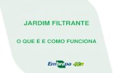 O QUE É E COMO FUNCIONA - …saneamento.cnpdia.embrapa.br/downloads/Jardim_Filtrante_–_O_que... · São caracterizados como vegetais que durante ... do jardim filtrante – Sítio