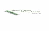 Manual Prático Microsoft Excel 2003 - ceap.br · Operações com folhas ... O Excel é uma folha de cálculo desenvolvida especificamente para permitir, de uma for-ma bastante simples,