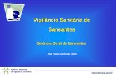 Vigilância Sanitária de Saneantes Saneante Palestra Visas 2013 2.… · Agência Nacional de Vigilância Sanitária Gerência-Geral de Saneantes São Paulo, junho de 2013 Vigilância