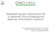Establishing the framework for a National Flora Endangered ... · Escola Nacional de Botânica Tropical Jardim Botânico do Rio de Janeiro 22a 24 de junho de 2010 Establishing the