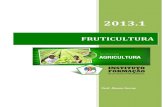 FRUTICULTURA - ifcursos.com.br · 2 Fruticultura  Alvaro Ferraz Fruticultura A fruticultura é o ramo da agricultura que visa produzir economicamente e racionalmente frutos