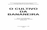 O CULTIVO DA BANANEIRA - Fruticultura no Vale do São ...frutvasf.univasf.edu.br/images/banana2.pdf · Autores ALDO VILAR TRINDADE Engenheiro Agrônomo, DSc. em Microbiologia do Solo,