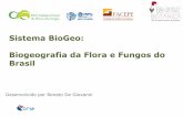 Sistema BioGeo: Biogeografia da Flora e Fungos do Brasil · Azolla filiculoides. No biogeo é usado um subconjunto das variáveis bioclimáticas ... Slide 1 Author: Renato De Giovanni