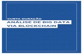 Análise de Big Data via Blockchain - fundacaofia.com.br · MATRIZ CURRICULAR Disciplina 1 – Big Data e a Tecnologia Blockchain • Introdução ao Big Data • 7 VS do Big Data: