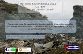 Taller Sostenibilidad 2013 CETEM Río de Janeiro. Brasil · proyectado, en particular, en las ramas de la química; la industria del petróleo y la petroquímica; ... (exploración,