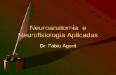 4 Neuroanatomia e Neurofisiologia Aplicadas · • Ontogênese • Descreve a origem e o desenvolvimento de um organismo desde o ovo fertilizado até sua forma adulta • Filogênese