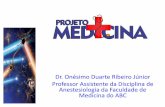 Dr. Onésimo Duarte Ribeiro Júnior Professor Assistente ... DE... · Revisão Neuroanatomia Author: Luciano Created Date: 4/18/2016 5:29:08 PM ...