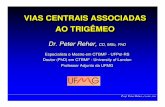 VIAS CENTRAIS ASSOCIADAS AO TRIGÊMEOdepto.icb.ufmg.br/dmor/mof011/neuroanatomia.pdf · Prof. Peter Reher, Prof. Peter Reher, CD, MSc, PhDCD, MSc, PhD Vias Centrais Associadas ao