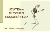 SISTEMA MÚSCULO ESQUELÉTICO - Escola Novaerenseescolanovaerense.com.br/download/aula2_sistema_musculo_esqueleti… · Púbis Ísquio Sacro Cóccix . ARTICULAÇÕES . CONCEITO: Articulação