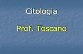 Citologia Prof. Toscano - Toscanobiomais · 7,5 a 10 nm (não visíveis ao ... - Agem no movimento das organelas e migração dos cromossomas na divisão celular. - responsávesis