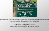 Análise de riscos climáticos para competitividade agrícola ...simposio.cpac.embrapa.br/palestras/Painel11/palestrapainel11... · Análise de riscos climáticos para competitividade
