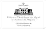 República de Moçambique - Início · República de Moçambique Posturas Municipais em vigor na Cidade de Maputo Coordenação: Dra. Célia Meneses Compilação: Arqtº Niranj Sacarlal