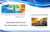 Utilização de Drones em Avaliações e Perícias.ibape-nacional.com.br/biblioteca/wp-content/uploads/2017/09... · PhotoScan (Livre) - SPRING - INPE Ortomosaico Modelo Digital do