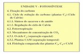 Reações da fotossíntese - PIBID Biologia-UFAL | Da sala … V - FOTOSSÍNTESE 4. Fixação do carbono 4.1. Ciclo de redução do carbono (plantas C3) (Ciclo de Calvin) 4.1.1. Síntese