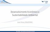 Desenvolvimento Econômico e Sustentabilidade Ambientalepge.fgv.br/cursos/modulos-de-economia-2017/files/... · 2017-04-28 · ambiental? A Curva de Kuznets Ambiental (CKA) • CKA: